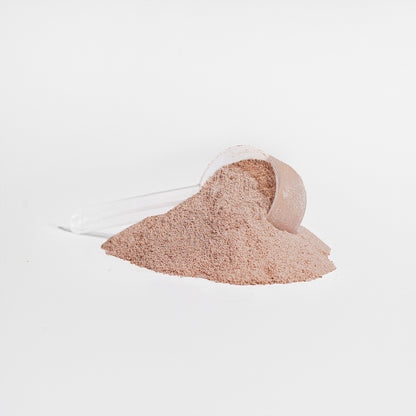 Complete Meal Replacement Powder (Chocolate)